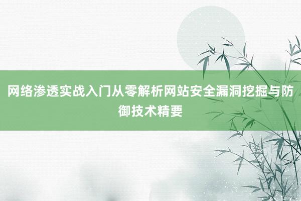 网络渗透实战入门从零解析网站安全漏洞挖掘与防御技术精要