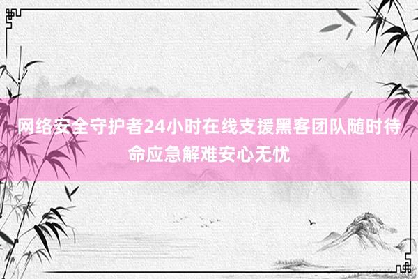 网络安全守护者24小时在线支援黑客团队随时待命应急解难安心无忧